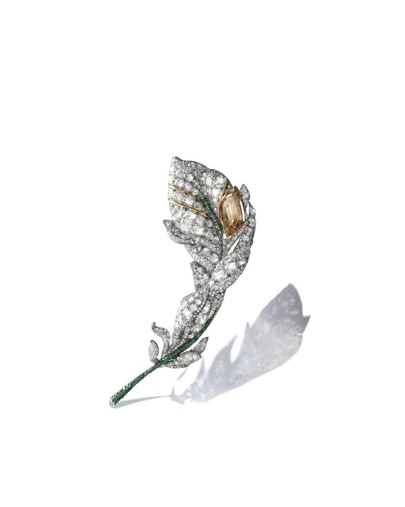 سيندي تشاو تعيد ابتكار إرث الريشة سيندي تشاو تعيد ابتكار إرث الريشة