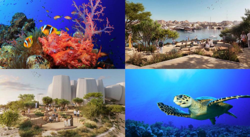 بين الساحل واليابسة.. أمالا تكشف عن تجربة فاخرة لا تُشبه سواها