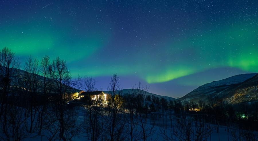 Untold Story Travel تطلق تجربة الذئاب والحيتان والشفق القطبي في شمال النرويج