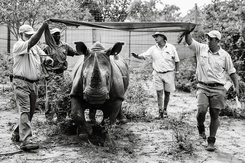 برنامج وحيدو القرن بلا حدود