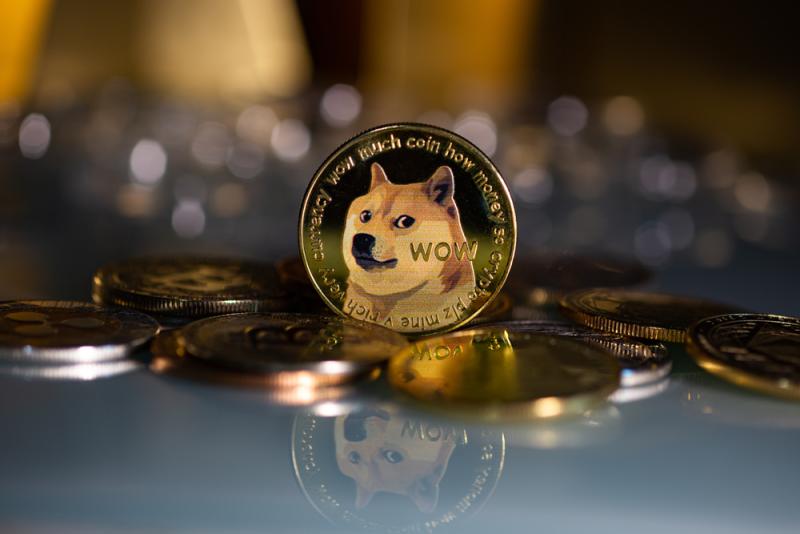 عملة Dogecoin (DOGE)