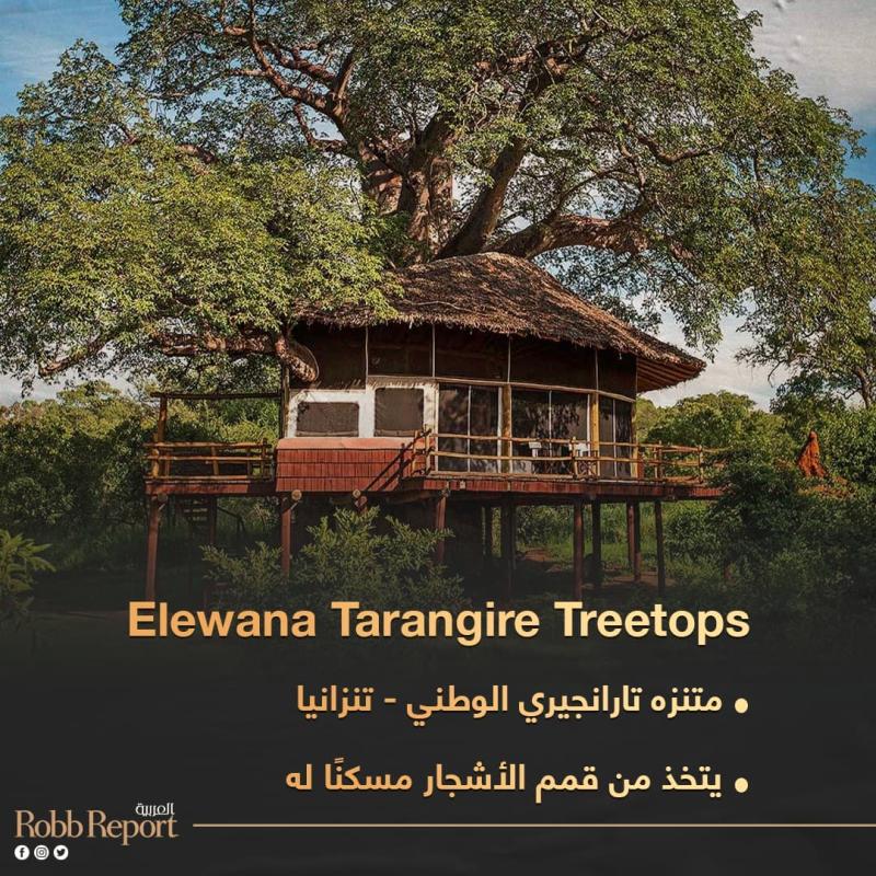Elewana Tarangire Treetops