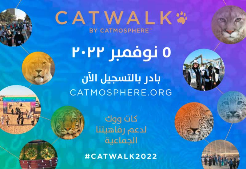 "كاتموسفير" تطلق مسيرة "كات ووك" المجتمعية للحفاظ على القطط البرية 
