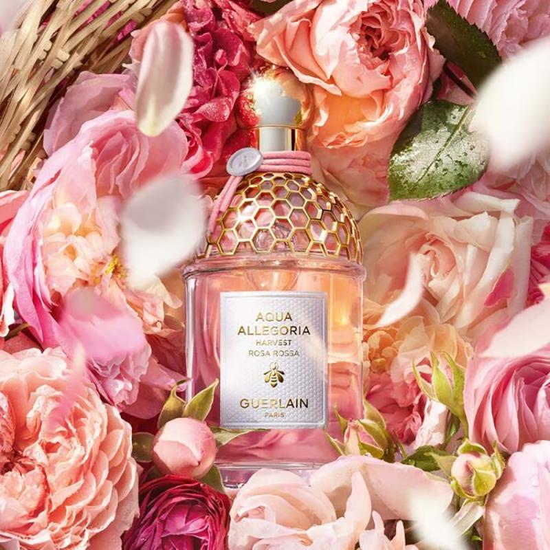 عطر Rosa Rossa Harvest 