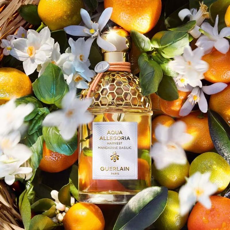 عطر Mandarine Basilic Harvest 