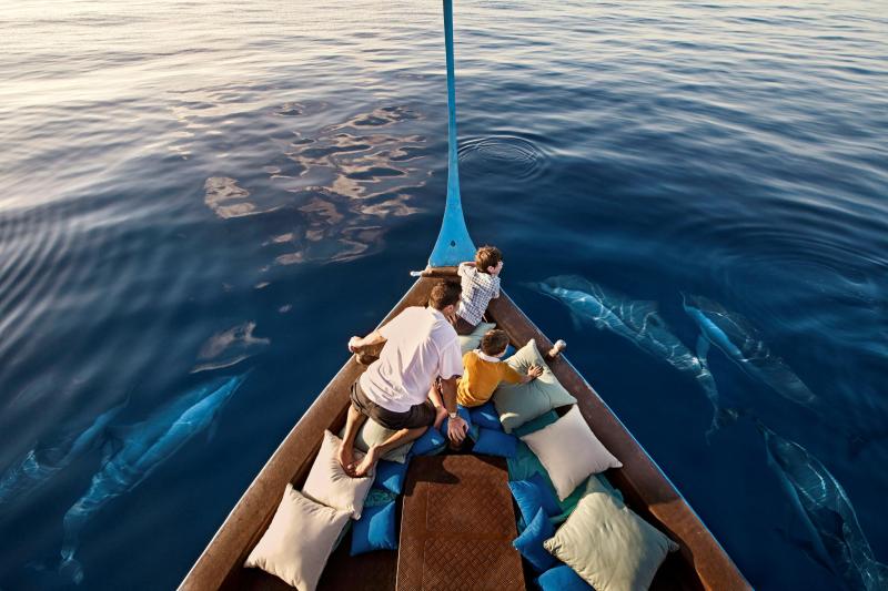 تشمل المغامرات التي يعد بها المنتجع رحلات على متن القوارب لتعقّب الدلافين.