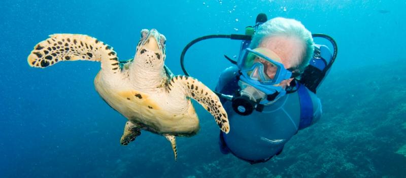 الغوص في البحر الكاريبي رفقة عالم أحياء/ أفضل وجهات الغوص حول العالم