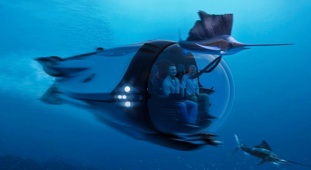 تتمايز الغوّاصة  عن نظيراتها بالقبة الزجاجية التي تتيح للركاب رؤية المحيط دون أي عوائق. 